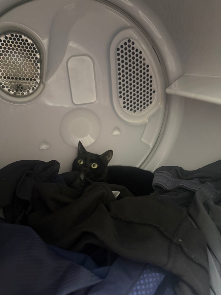 A black cat with green eyes peeks out from a pile of dark clothing inside a clothes dryer.