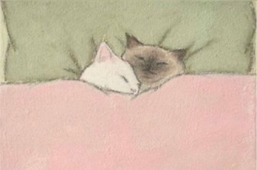 Two cats snuggled together under a pink blanket, resting their heads on green pillows.