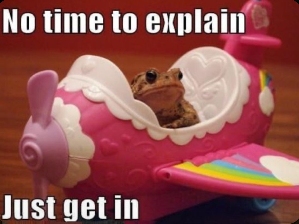 A frog sitting in a toy airplane, with a caption that reads 'No time to explain Just get in'.